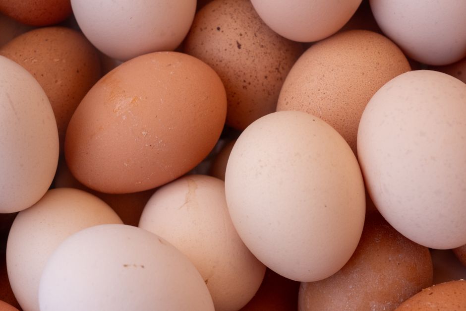 Proteine la micul dejun: ouă, iaurt sau leguminoase?
